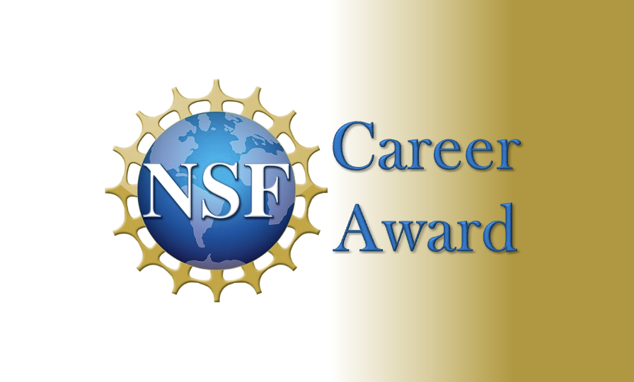 Prof. Henak Earns NSF Career Award