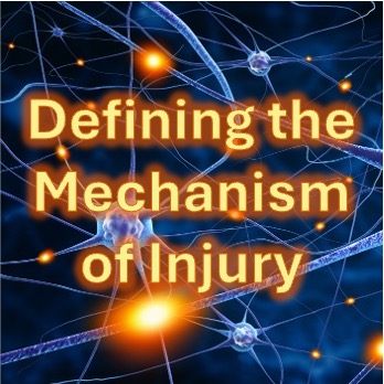 Publication: Toward a Unified Lexicon in Traumatic Brain Injury