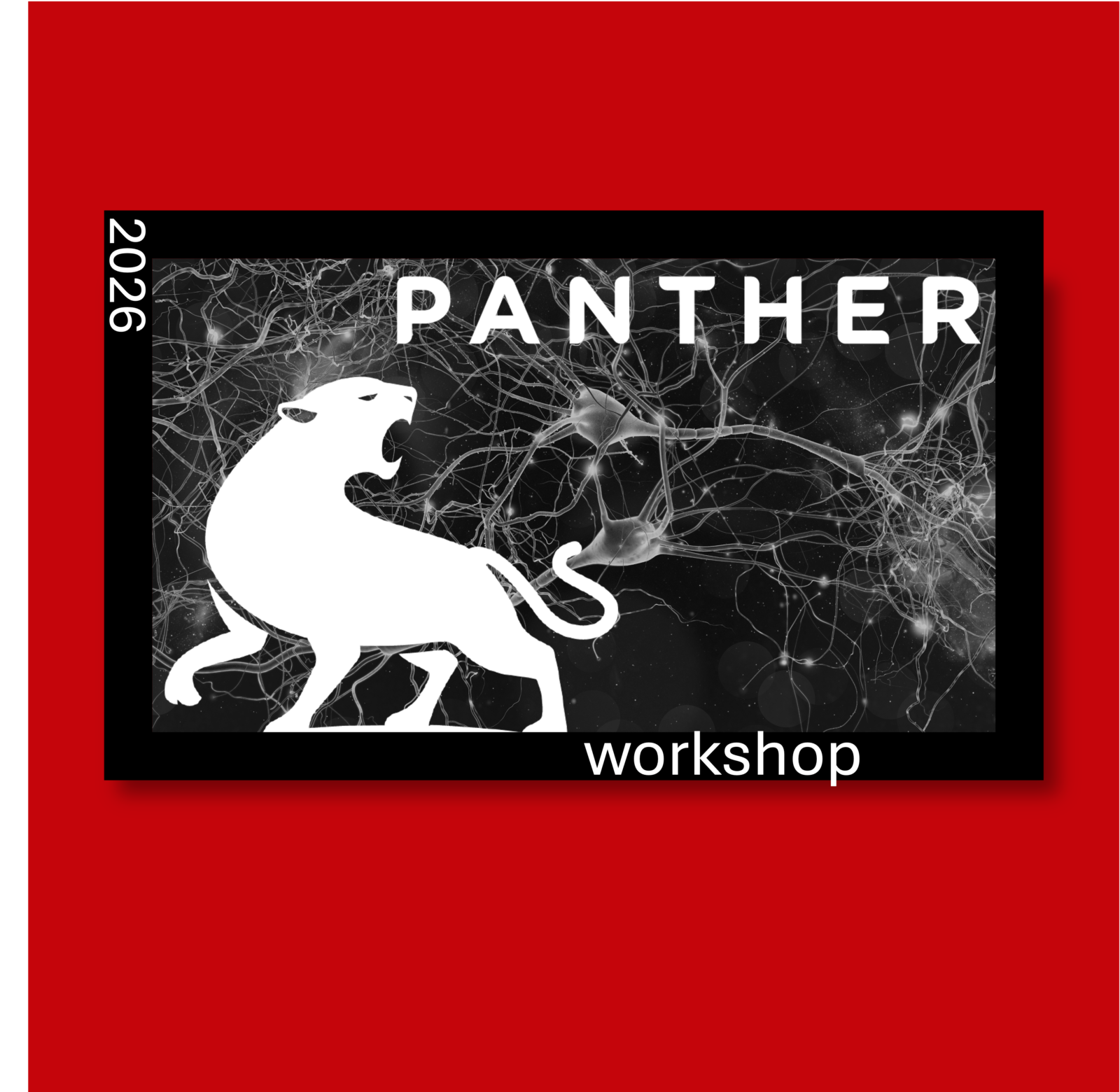 2026 PANTHER & TBI Center Workshop